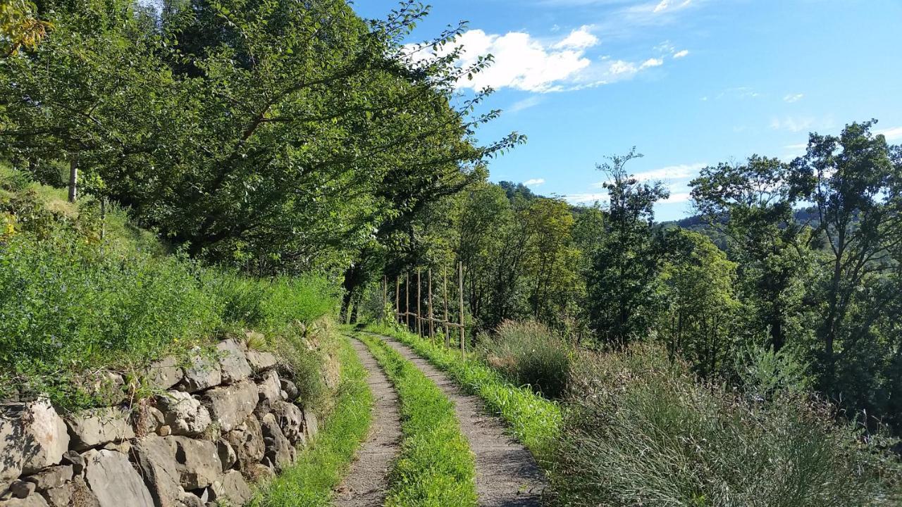 Agriturismo San Genesio Rovagnate エクステリア 写真
