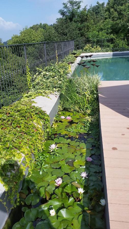 Agriturismo San Genesio Rovagnate エクステリア 写真